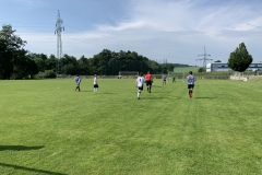 IMG-3300