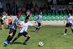 IMG-3307-1