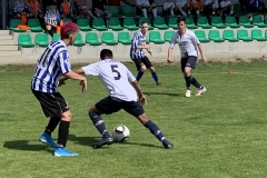 IMG-3308