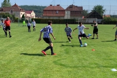 IMG-3762