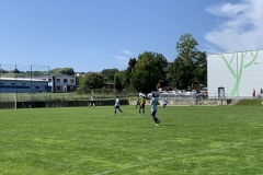w_IMG_7031