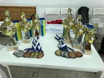 2019 MČR v badmintonu