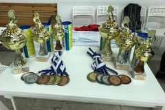 2019 MČR v badmintonu